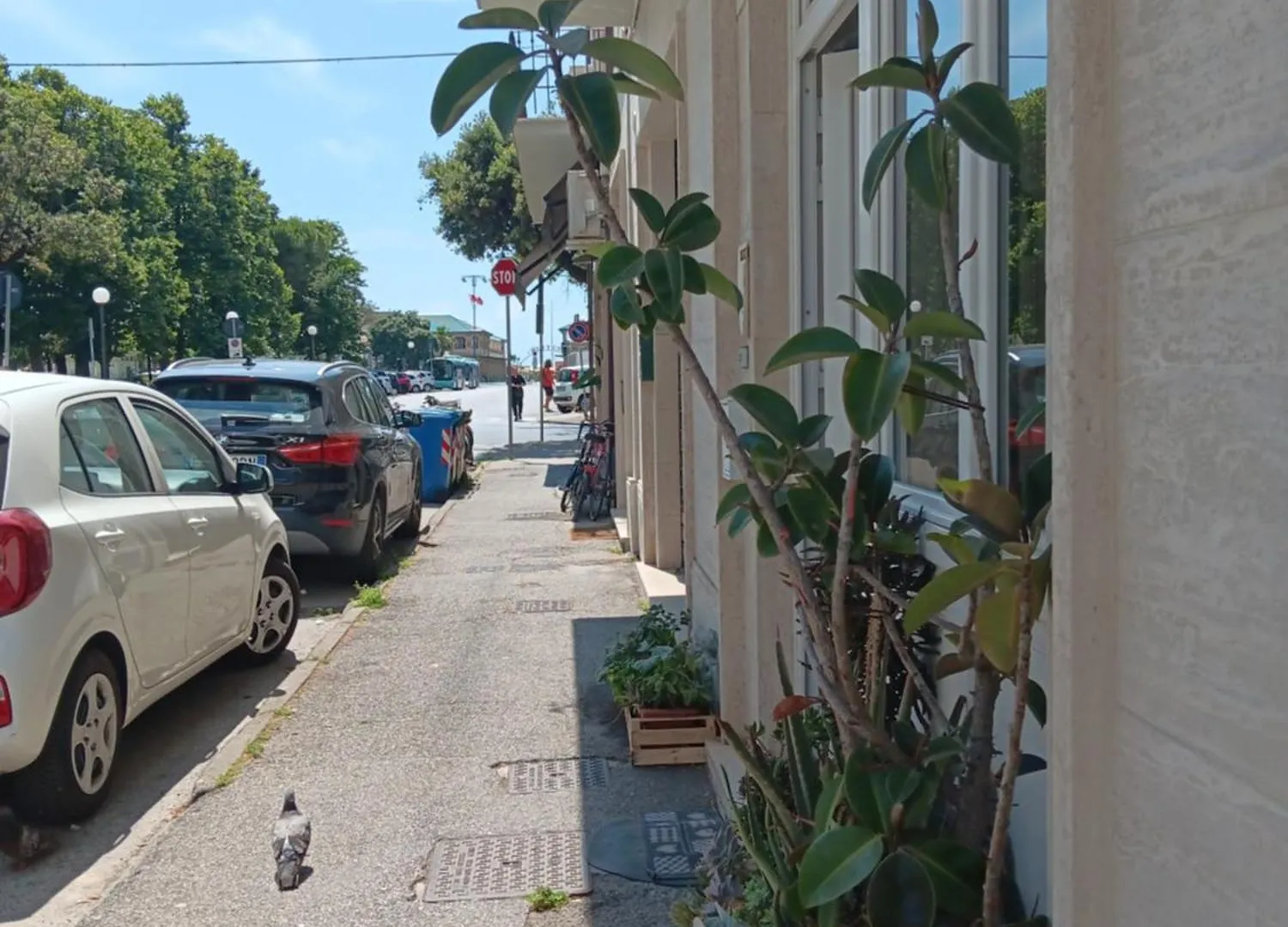 Sea Side Studio Viareggio